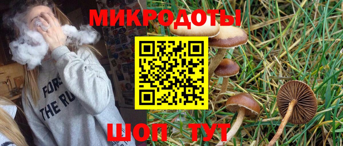 Галлюциногенные грибы Psilocybe  сколько стоит  Кемерово  Вход с VPN 